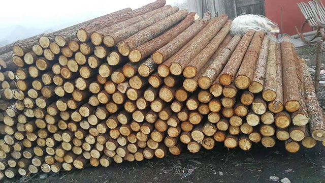 AľӹS(chng)